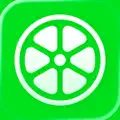 Lime-icon