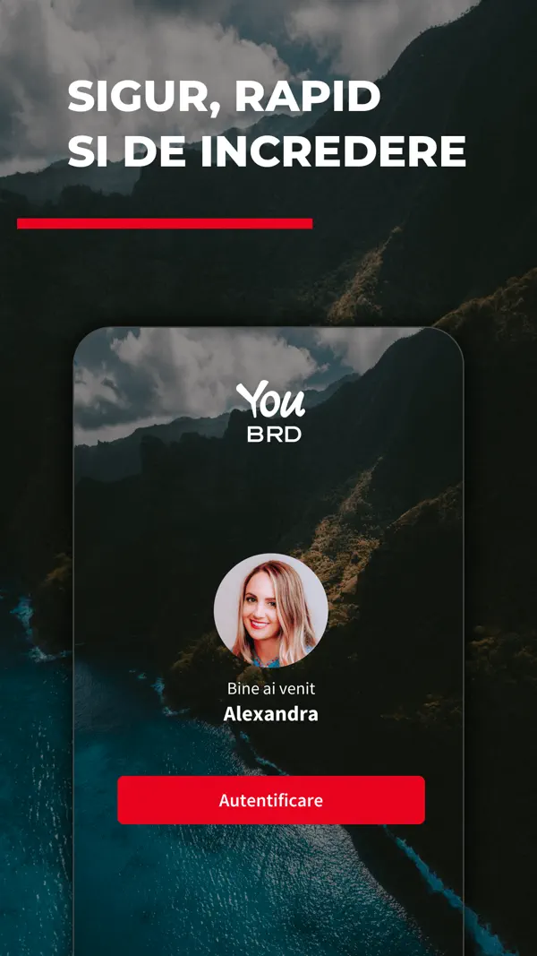 YOU BRD-screenshot