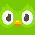Duolingo-icon