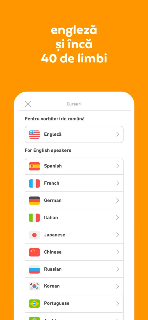 Duolingo-screenshot